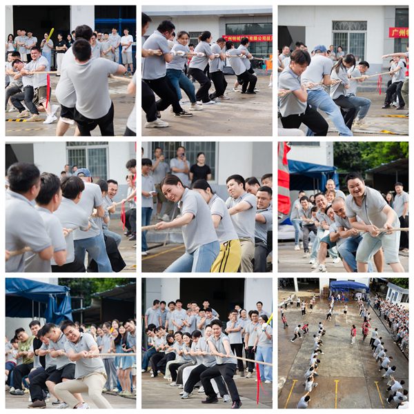 賽場逐鹿，團隊爭雄